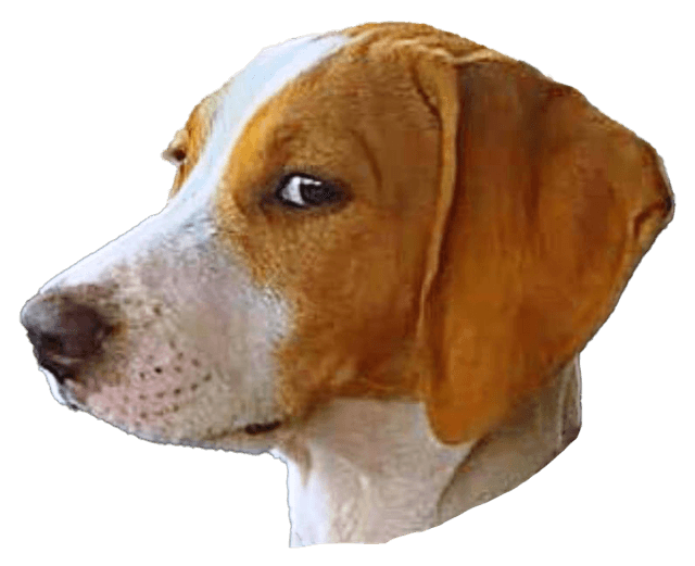 Side Eye 1