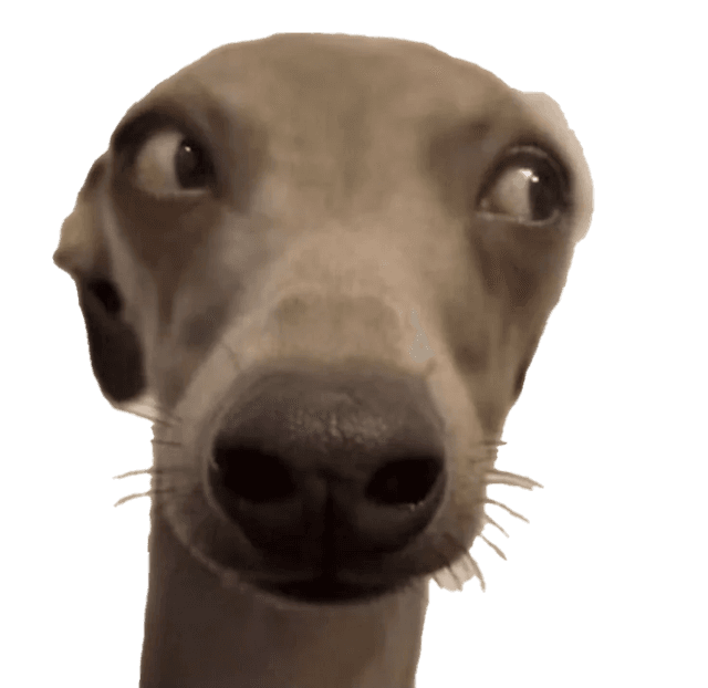 Side Eye 2