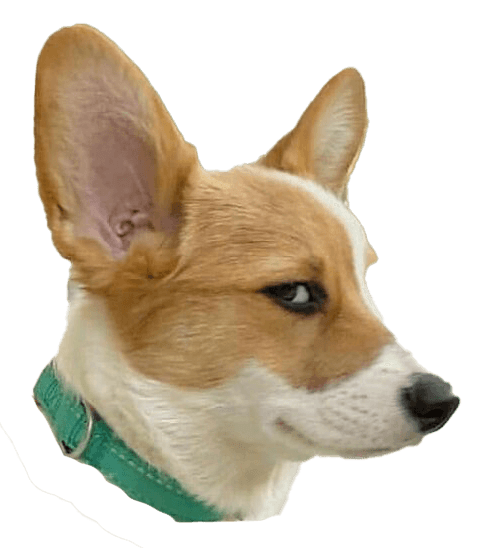 Side Eye 4